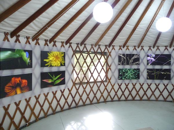 bda-yurtwart yurt interior with art