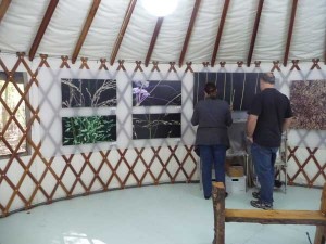 bda-yurt-visitors gallery visitors