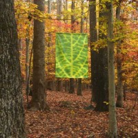 Green leaf in fall