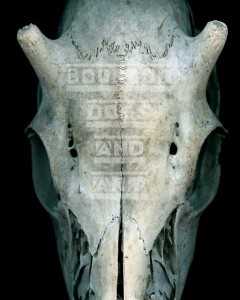 young-buck-skull-600 Young Buck