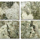 Bark and Lichen place mats