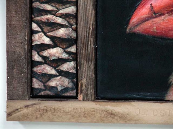 Cardinal detail
