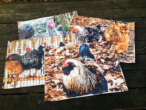 chicken-set-2-placemats
