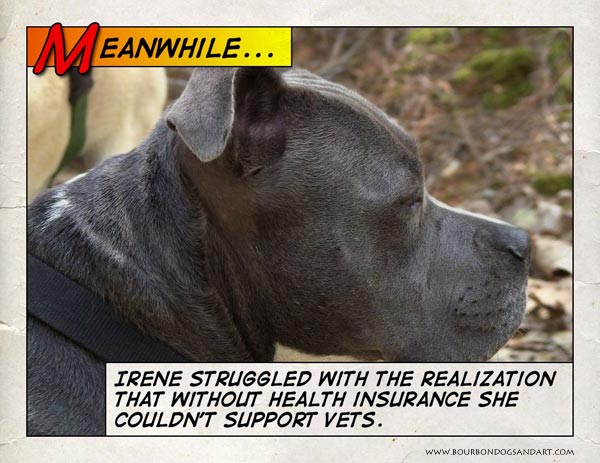 Irene worries about vets Irene worries about vets