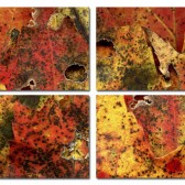 Mpale leaves place mats