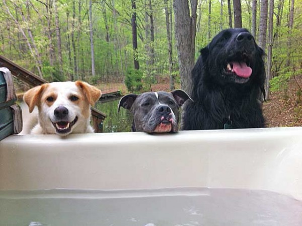 Three Stooges