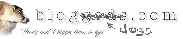 blogdogs.com